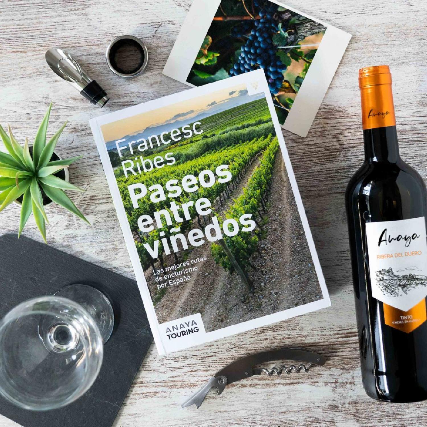 Paseos entre viñedos