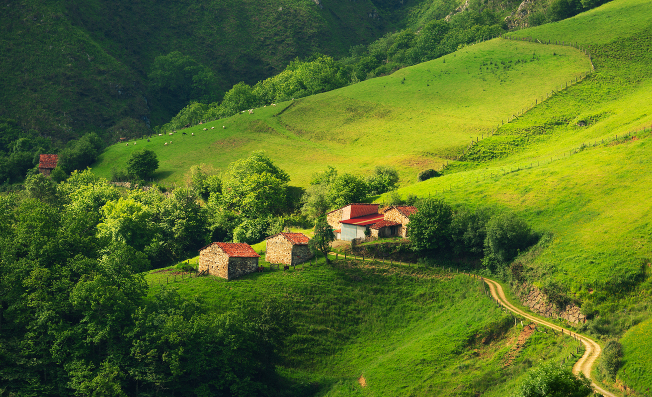 Casas asturianas en la montaña